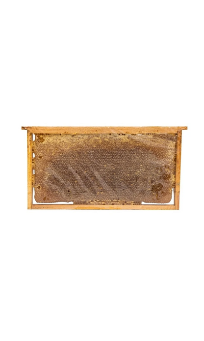 Pervari Siirt Yüksek Rakımlarda Yetişen Petek Çıta Bal 3.5kg