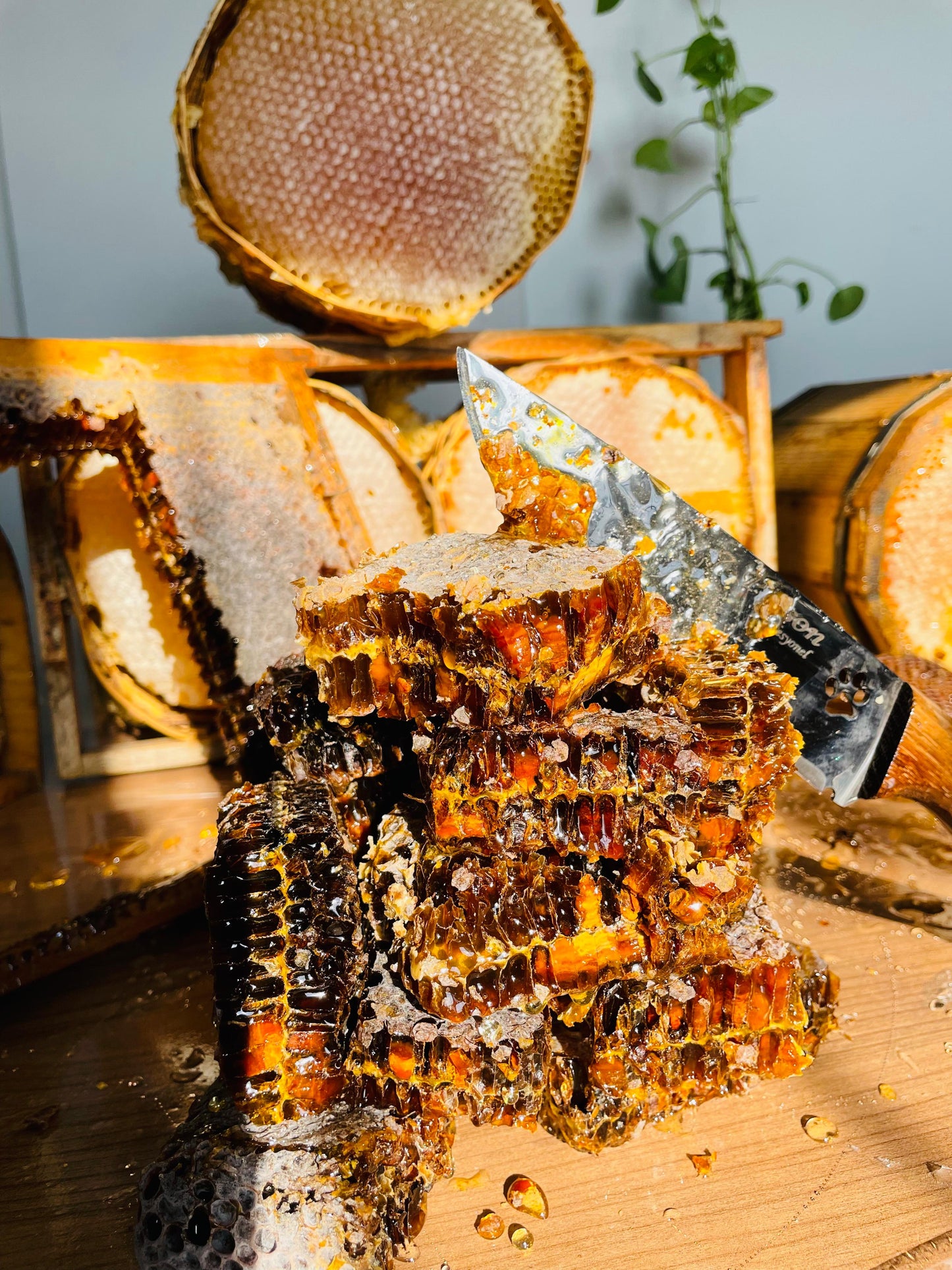 PERGALI POLENLİ PETEKLİ BAL 1KG