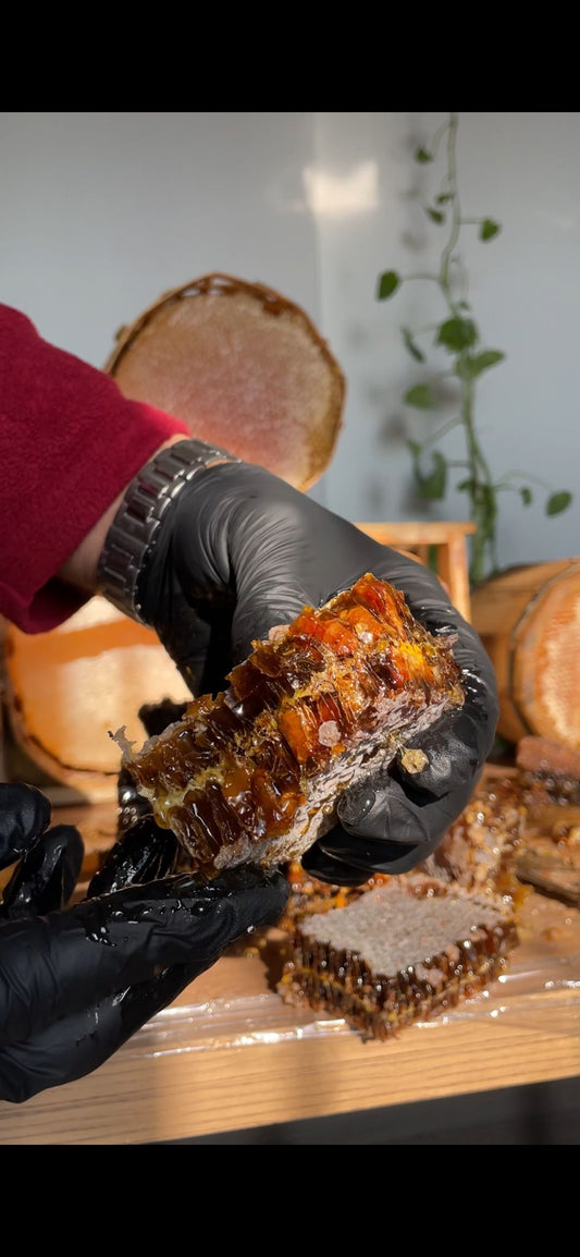 PERGALI POLENLİ PETEKLİ BAL 1KG