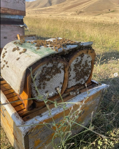 Pervari Siirt Petekli Çiçek Balı 240 Gr